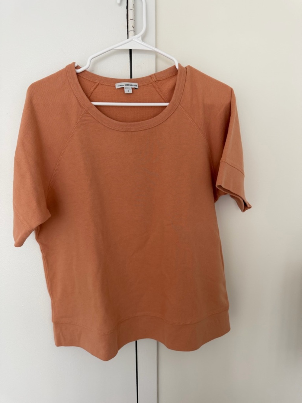 James Perse Short Sleeve Thick T-Shirt Top in Terracotta
